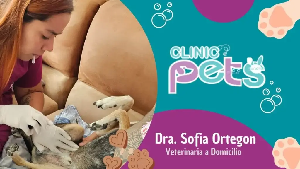 Consulta-veterinaria-ibague-sofia-ortegon