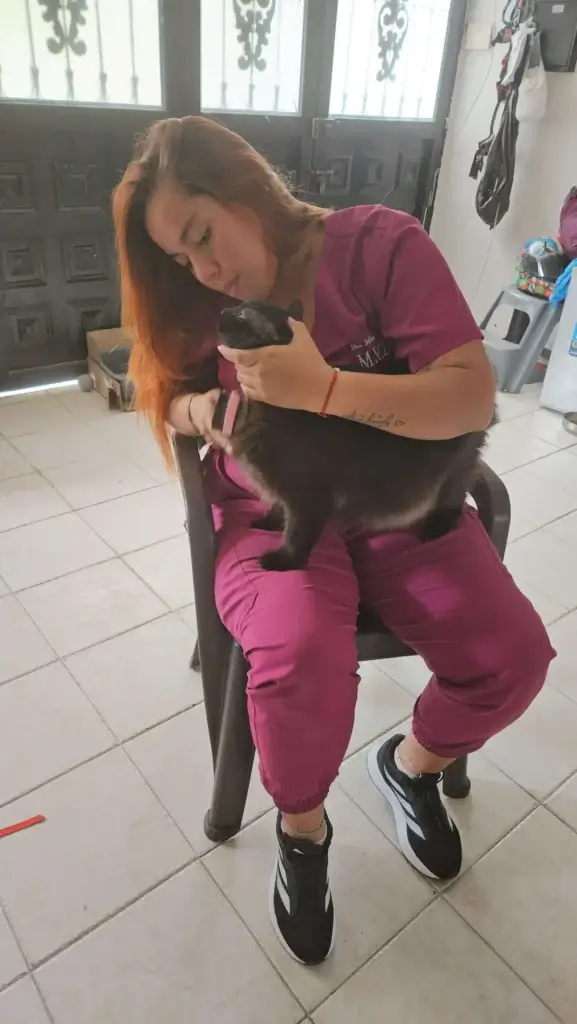dra.-Sofia-ortegon-consultas-veterinaria-a-domicilio